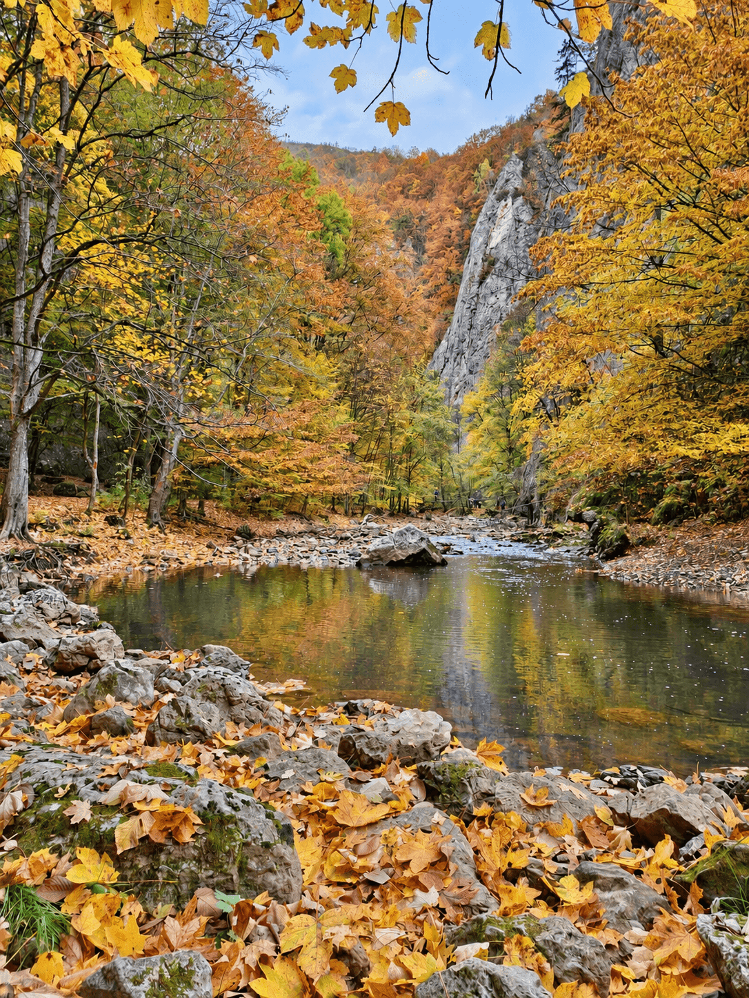 Autumn colours along the Vârghiș Gorge